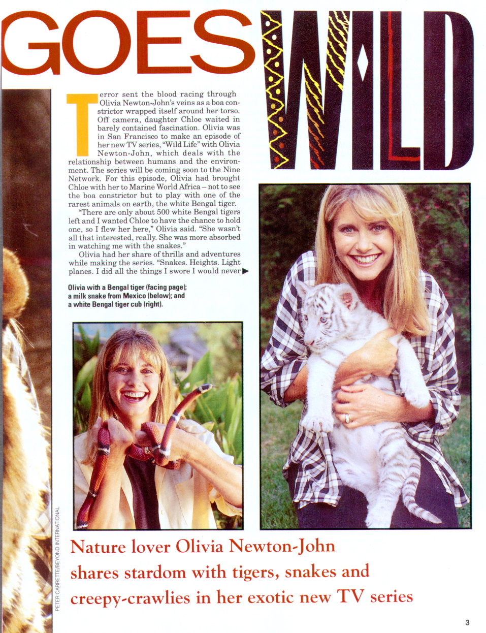 Olivia Goes Wild - Australian Women's Weekly magazine