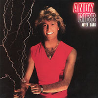 After Dark - Andy Gibb