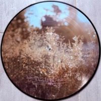 Picture disc of Stronger Than Before album Olivia Newton-John