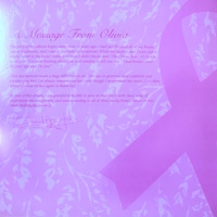 Stronger Than Before 2025 release, insert