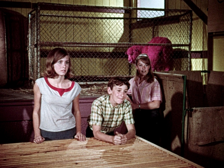 Olivia Newton-John from Funny Things Happen Down Under blu-ray from Australia